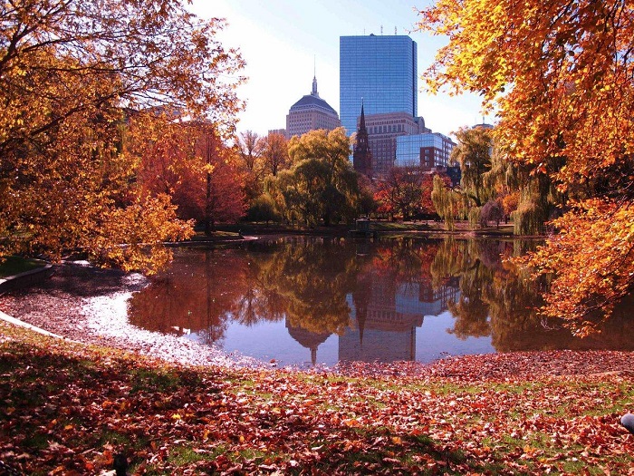kinh nghiệm du lịch boston – thành phố cổ giàu có bậc nhất nước mỹ
