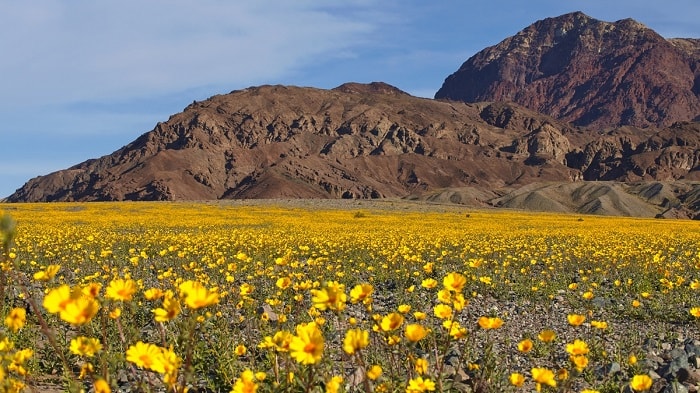 vẻ đẹp bí ẩn của thung lũng chết – nơi nóng nhất trên thế giới