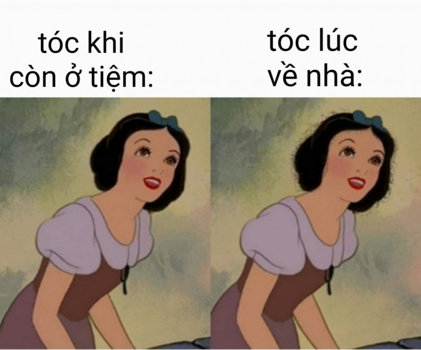 99+ Ảnh Chế Meme Mới Nhất & Cách Làm Meme Độc Nhất Vô Nhị - Alongwalker