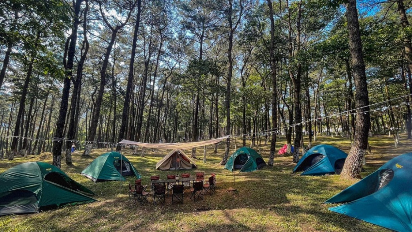 điểm cắm trại gần hà nội, địa điểm cắm trại, top 10 tọa độ cắm trại gần hà nội khiến giới trẻ mê mệt