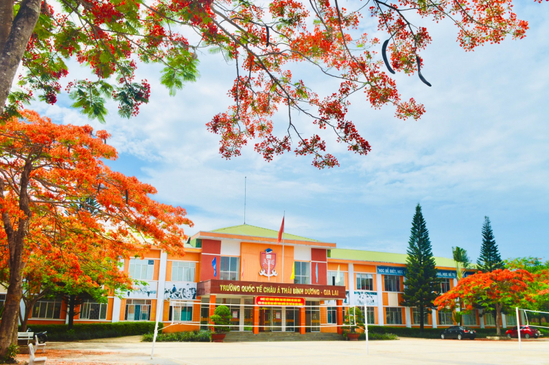 Top 9  Trường THCS tốt nhất tỉnh Gia Lai
