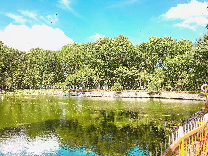công viên hoàng văn thụ: không gian ‘sống ảo’ xanh mát cực mới lạ