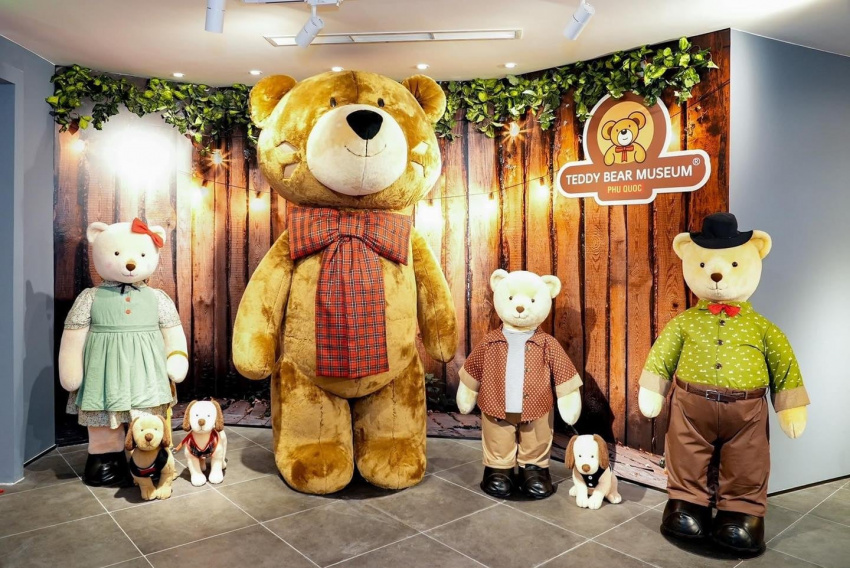 check-in bảo tàng gấu teddy phú quốc khiến giới trẻ phát cuồng