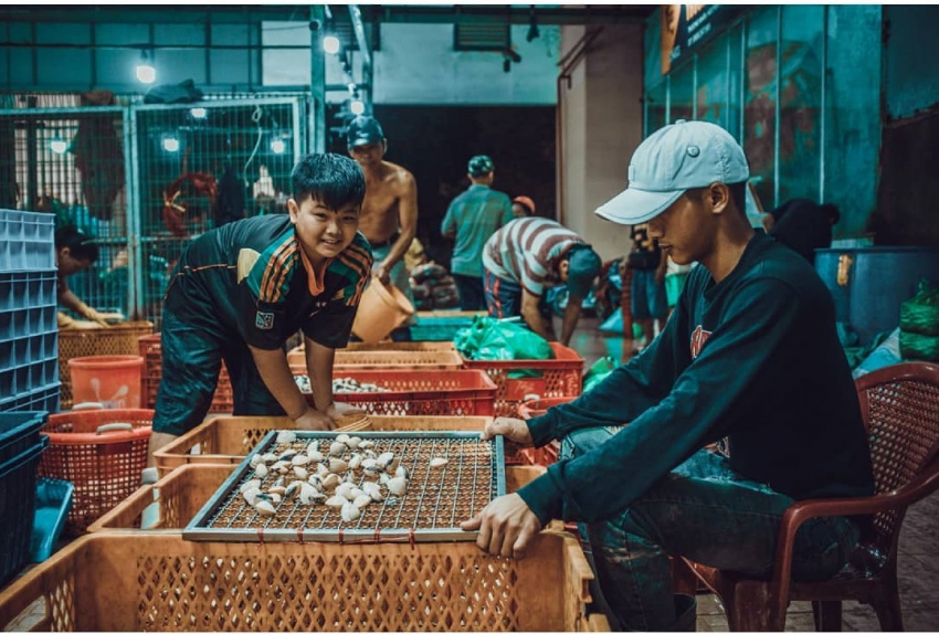 Chợ Bình Điền ở đâu? Khám phá chợ đầu mối lớn nhất Sài Gòn