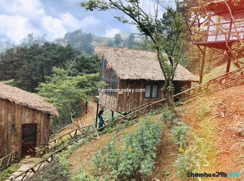 review chillout village: homestay “nhà gỗ” cực xinh lưng chừng đồi ở tam đảo