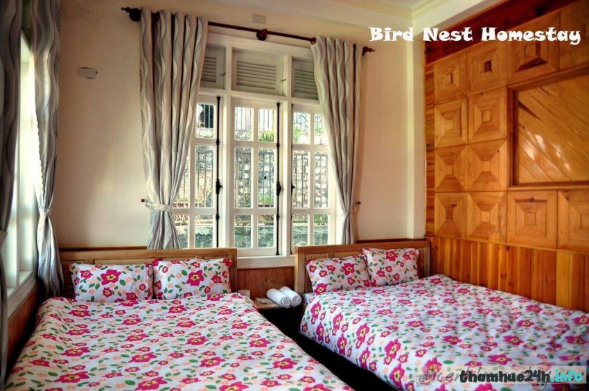 review tổ chim homestay: review trải nghiệm ngủ lơ lửng trên cây ở đà lạt