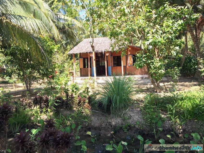 review cocohut homestay bến tre: review chi tiết nơi ẩn mình giữa rừng dừa