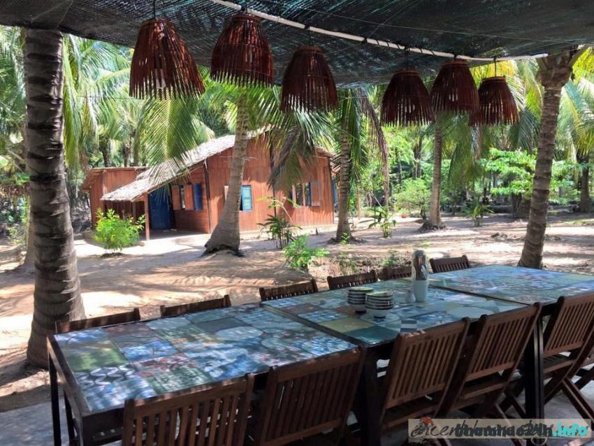 review cocohut homestay bến tre: review chi tiết nơi ẩn mình giữa rừng dừa