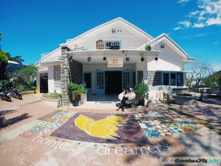 review home of dreamers: homestay nhà kính view ngắm ngàn sao ở đà lạt