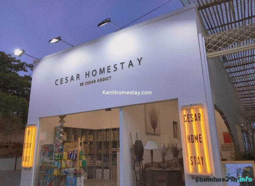 review cesar homestay: căn nhà tone trắng cực xinh, view biển mũi né gây sốt