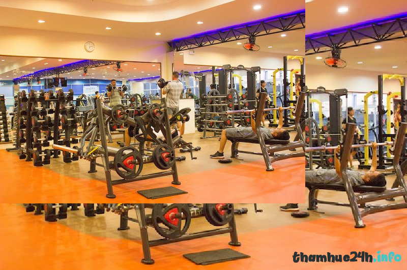 [review] 10 phòng thể hình phòng tập gym vũng tàu giá rẻ, chất lượng tốt nhất