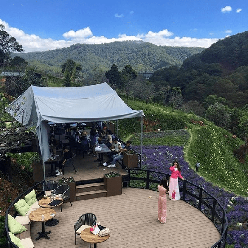 [review] 20 quán cà phê đà lạt view đẹp ngắm rừng núi, chuẩn sống ảo
