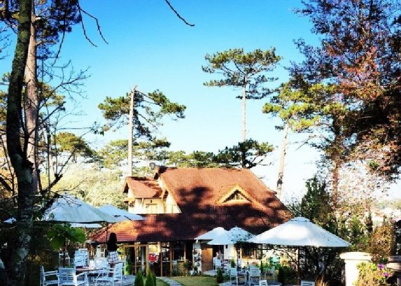 [review] 20 quán cà phê đà lạt view đẹp ngắm rừng núi, chuẩn sống ảo