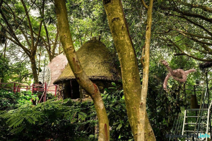 review cosy tree house: review homestay “lơ lửng trên cây” cực độc ở hà nội