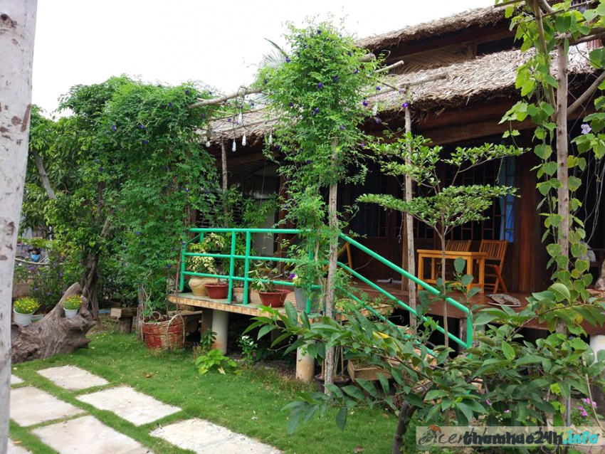 review bạch cúc homestay: khu vườn cổ tích “ẩn mình” giữa làng biển long hải