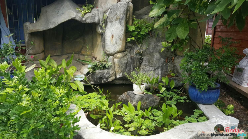 review bạch cúc homestay: khu vườn cổ tích “ẩn mình” giữa làng biển long hải