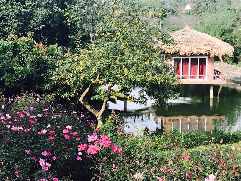 [review] top 20 villa homestay ba vì giá rẻ đẹp có hồ bơi nên nghỉ dưỡng