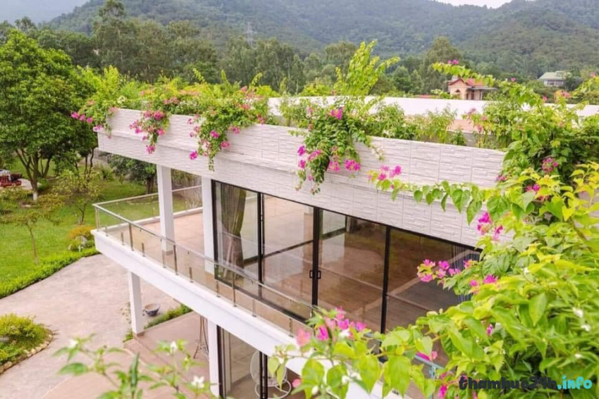 review 20 biệt thự villa homestay sóc sơn giá rẻ đẹp có hồ bơi, sân vườn làm bbq