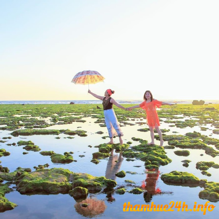 Review Cánh đồng rong biển ở Ninh Thuận đẹp như mơ khiến tim loạn nhịp