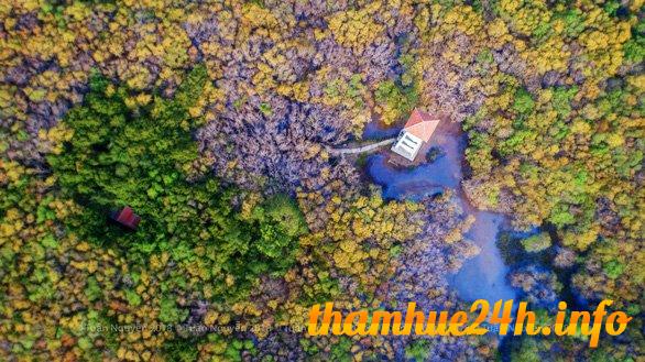 review điểm du lịch mới nổi ở huế: rừng rú chá qua góc ảnh flycam
