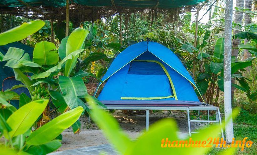 review suri mũi né homestay: “ốc đảo” xanh mát giữa vùng nắng gió phan thiết