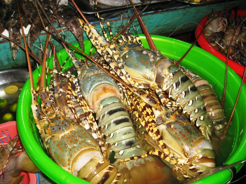 top 10 quán chợ vựa hải sản kiên giang tươi sống ngon giá rẻ nhất