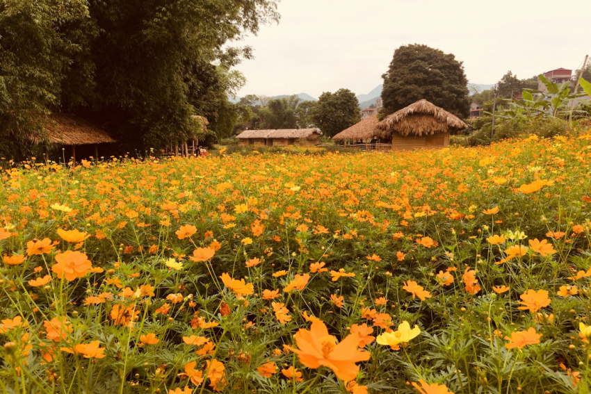 Review Lạc trôi vào khu vườn cổ tích tại Lương Sơn homestay Cao Bằng