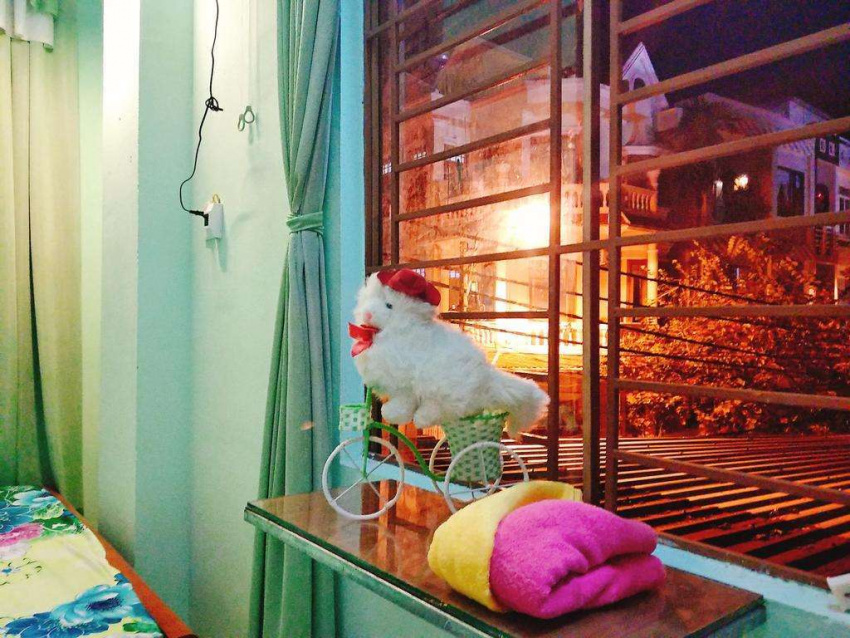 review win’s homestay: nơi cho du khách mang theo thú cưng ở đà nẵng