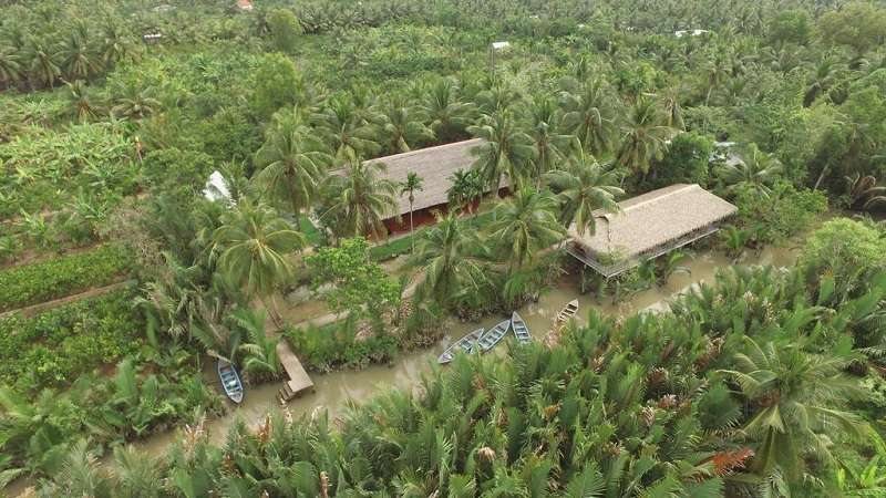 Review Ba Danh Homestay Bến Tre: Chốn nghỉ yên bình giữa rừng dừa xanh mát