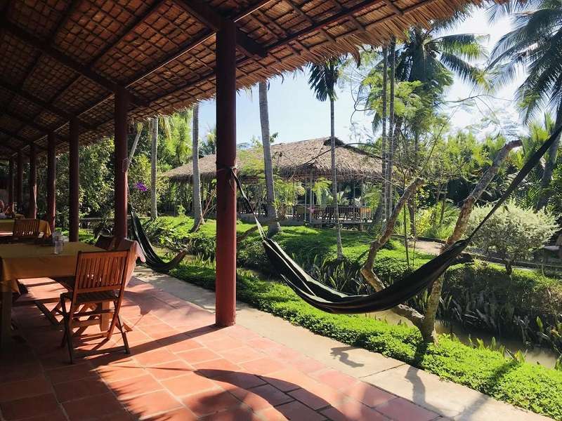 review ba danh homestay bến tre: chốn nghỉ yên bình giữa rừng dừa xanh mát