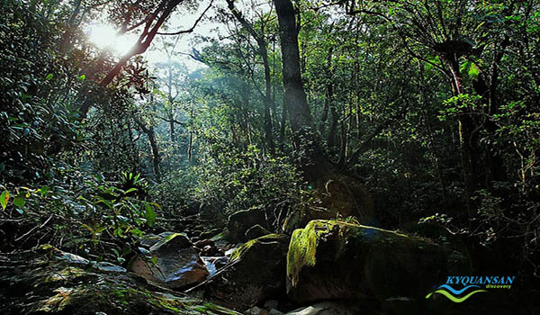 vườn quốc gia chư mom ray – khám phá di sản asean