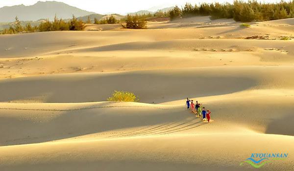 đồi cát nam cương – vẻ đẹp tiềm ẩn của cát và gió