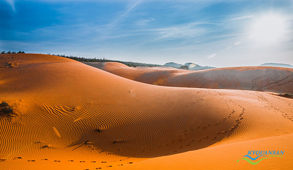 đồi cát bay mũi né – vẻ đẹp của nắng, gió và cát