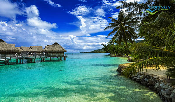 thiên đường xanh polynesia