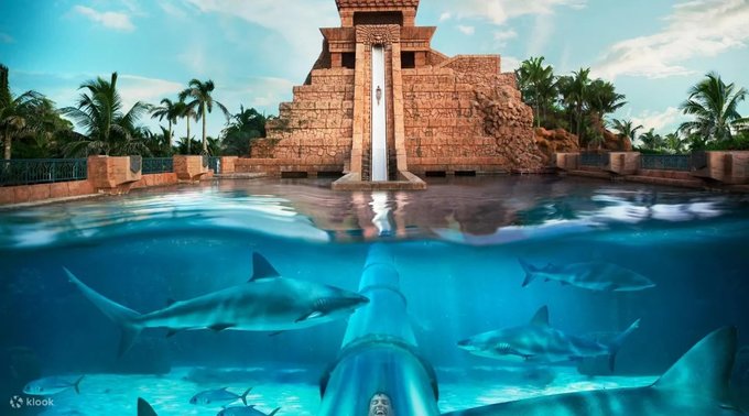 Khám Phá Atlantis Aquaventure, Công Viên Nước Lớn Nhất Dubai, Dubai