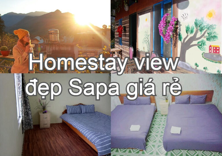 Review 10+ homestay đẹp ở Sapa đang được giới trẻ “săn lùng”