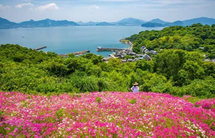 du lịch, châu á, du lịch nhật bản: khám phá đảo shishi-jima xinh đẹp bí ẩn ở vùng biển nội địa seto
