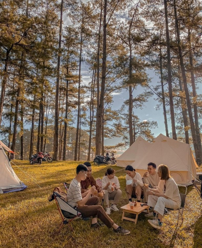 top 12 địa điểm cắm trại đà lạt có tọa độ săn mây cực phẩm
