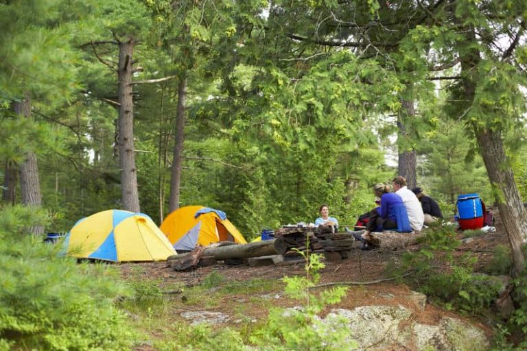 khám phá top 8 địa điểm cắm trại ba vì có view đồi thông