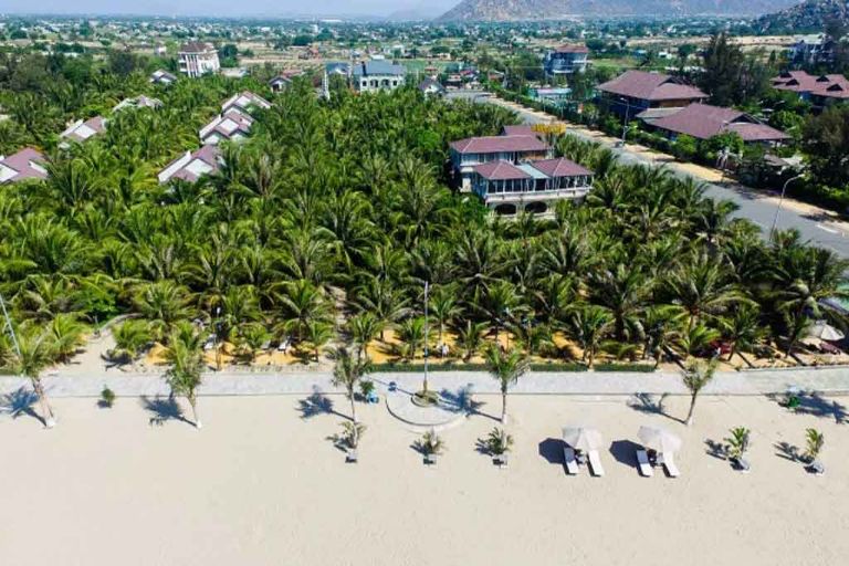 Resort Con Gà Vàng Ninh Thuận | Thiên Đường Nghỉ Dưỡng Có View Đẹp, Chất Lượng