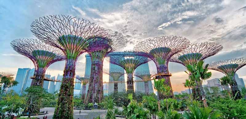 garden by the bay (singapore) – khám phá vẻ đẹp tuyệt tác