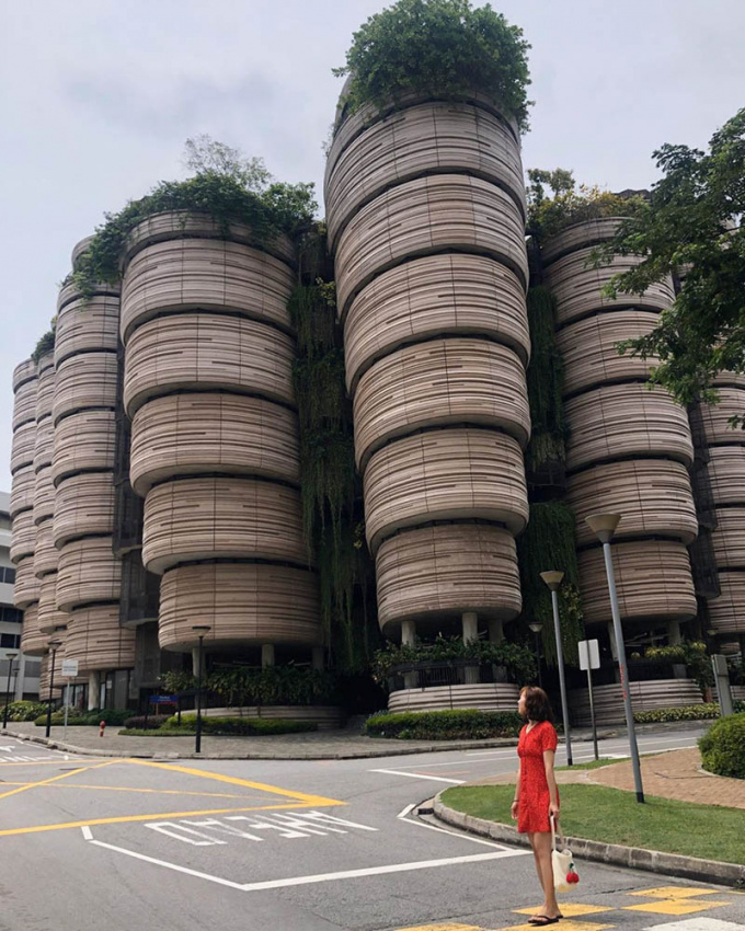 “tòa nhà giỏ dimsum” – điểm check-in  sang độc lạ ở singapore