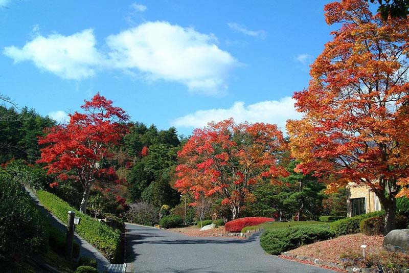 những địa điểm du lịch nổi tiếng ở hiroshima (nhật bản)
