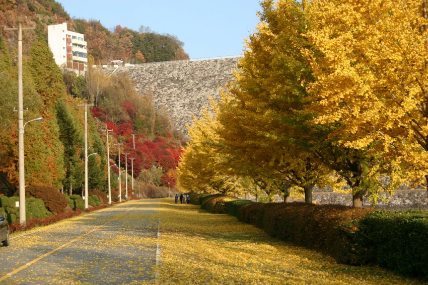 Đi Hàn Quốc lúc nào để ngắm lá đỏ lá vàng?