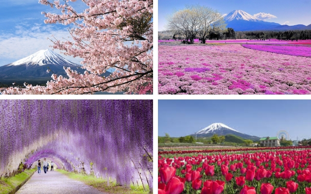 Du lịch Nhật Bản thời điểm nào đẹp nhất trong năm?