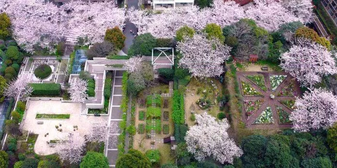 du lịch, châu á, những “hòn đảo xanh” trên bầu trời tokyo: 7 khu vườn sân thượng tuyệt đẹp phải ghé thăm khi du lịch nhật bản