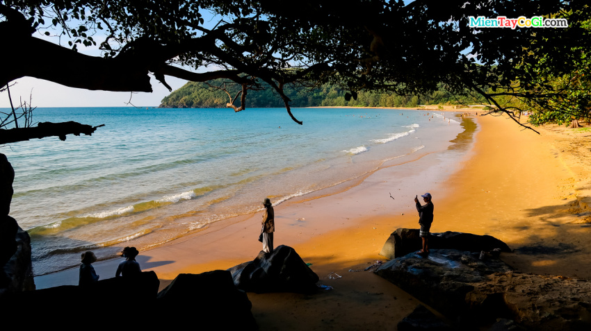Bãi Đầm Trầu Côn Đảo | Không nên bỏ qua chỗ tắm biển đẹp nhất này