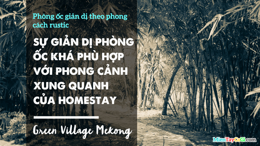 cần thơ, homestay, miệt vườn, review green village mekong cần thơ homestay | đường đi | bảng giá