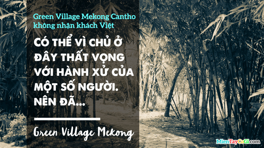 cần thơ, homestay, miệt vườn, review green village mekong cần thơ homestay | đường đi | bảng giá