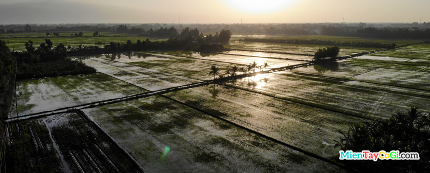 Hình ảnh nông dân miền Tây đắp ruộng Flycam | Chuẩn bị trồng lúa